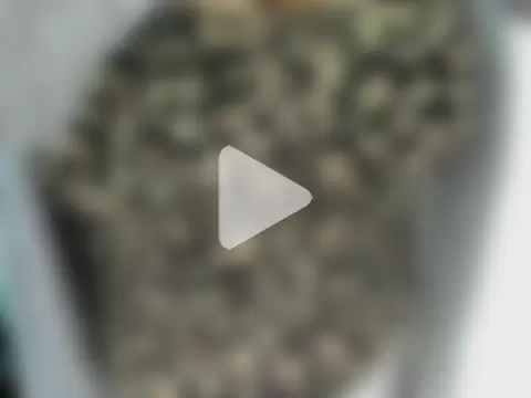 MonicaGarcia_ photo 26