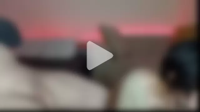 Monse_n_Mont photo 3