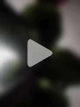 MoonlikePolicy727 photo 3