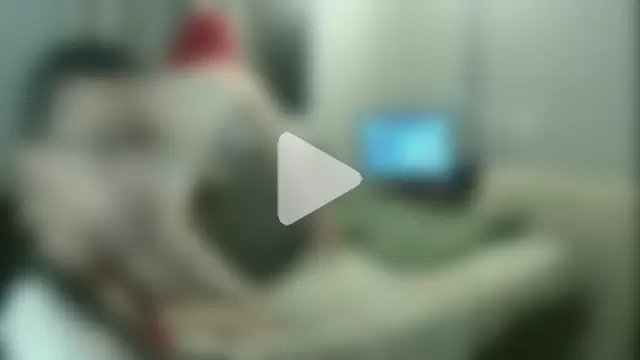 MorangoCChoc photo 20