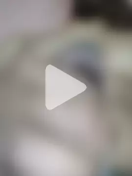 Morenodopaucabecudo28 photo 11