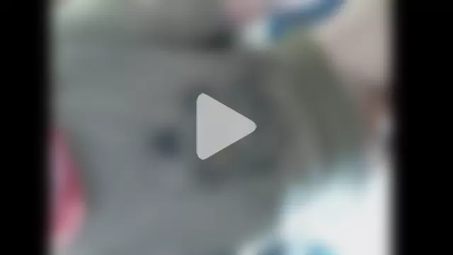 MormonPineapples photo 7