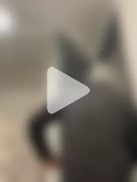 MrDickUdown24_7 photo 1