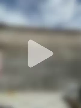 MrLeoLatino photo 24