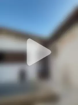 MrLeoLatino photo 17