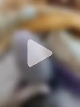 Mr_Mukesh_007 photo 18