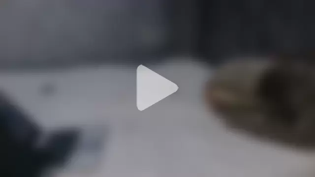 MthondoWeBananaX2 photo 11