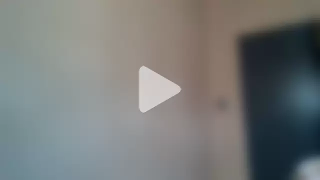 MzansiMonster photo 7