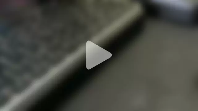 NETORARE_SECRET photo 11