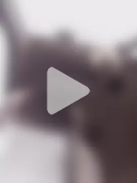 N_i_k_o_l_a_u photo 3