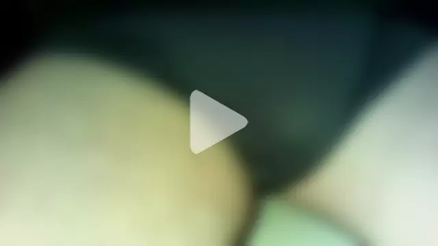 NaTolleWurst photo 3