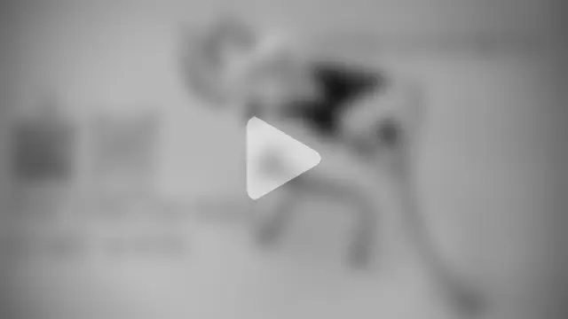 NataliaGonharova photo 4