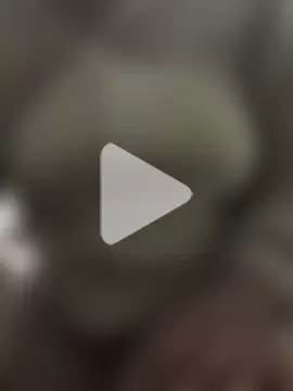 NaughtyShawdy1 photo 18