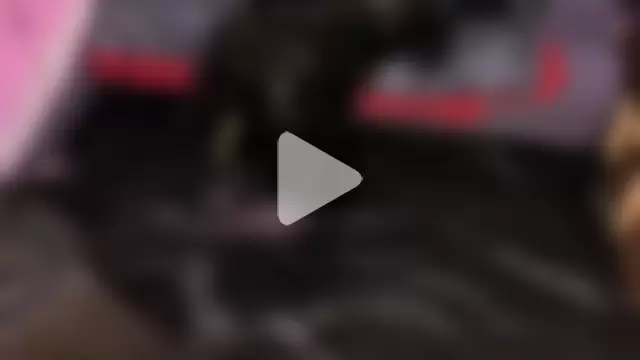 Nebenangeil photo 15