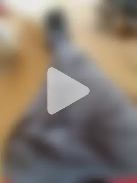 Negodabenga photo 18