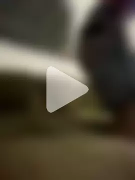 Negro_Wakanda_Boy photo 5