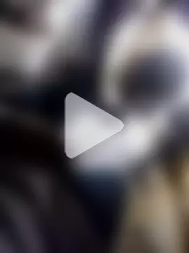 NestedReagent photo 1