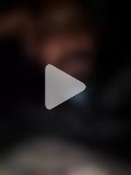 New-Chennaibull15 photo 5