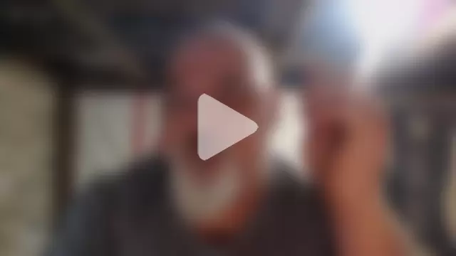 Newfiesausage1972 photo 2