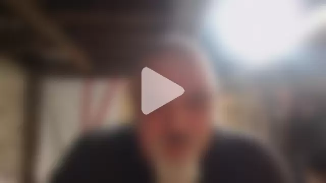 Newfiesausage1972 photo 28