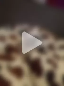 NibbleSweetie photo 3