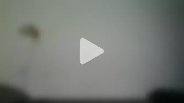 NickiKisinger photo 7