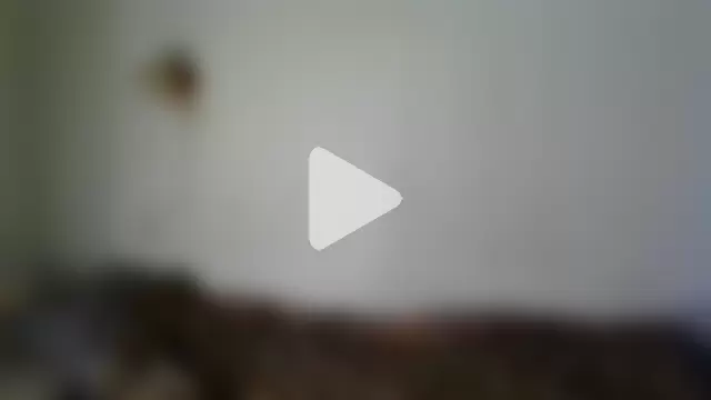 NickiKisinger photo 3