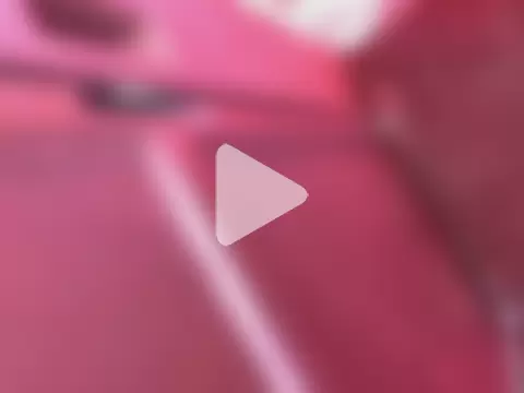 Nicusorescu26 photo 3