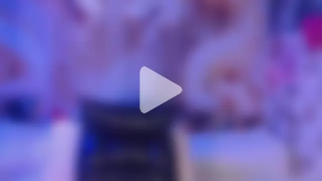 NightOrhideya photo 1