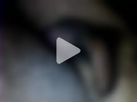 Nightservice27 photo 11