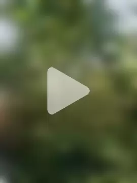 Niht_Angels photo 18