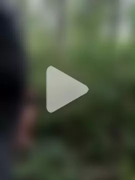 Nikeyone2 photo 11