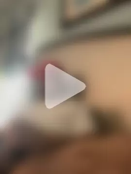 Nikolaj-pristino photo 14