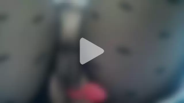 Ninalapiccolina photo 10