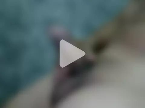 NinfomanoLOGAN photo 1