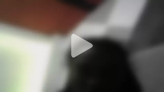 Noah_Miller7 photo 18