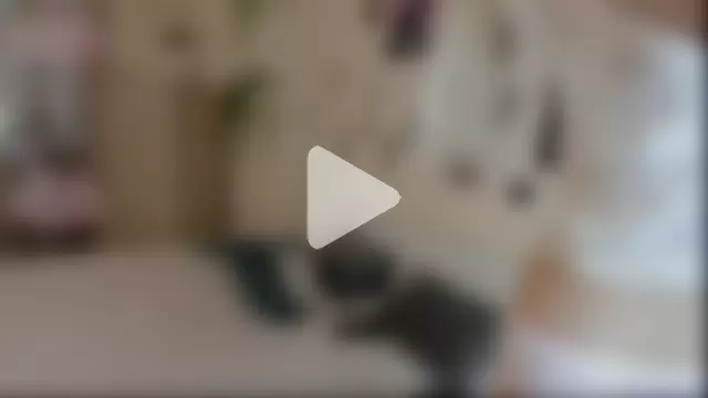 NoirCascade photo 12