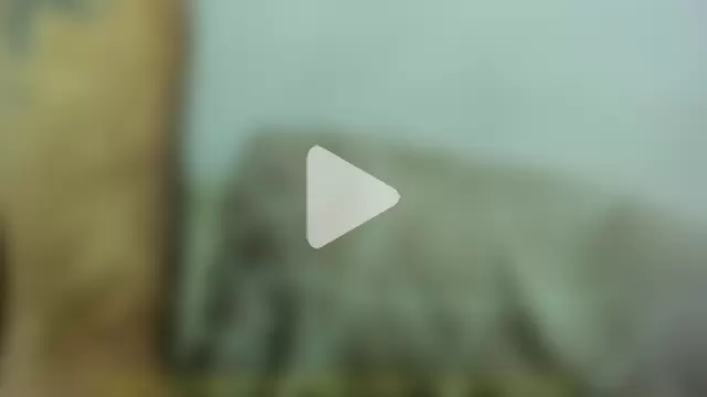 Nomercy_Couple69 photo 1