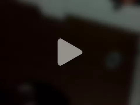 Nooneisthis photo 22