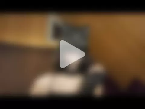 NovaKitty888 photo 27