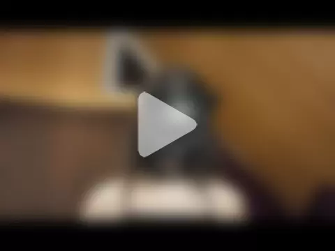 NovaKitty888 photo 21