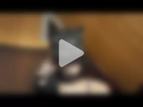 NovaKitty888 photo 17