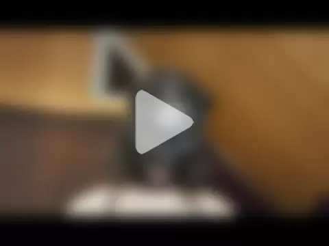 NovaKitty888 photo 16