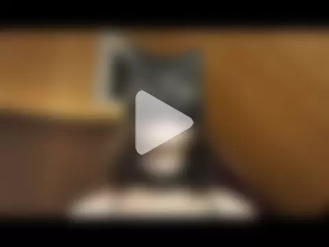 NovaKitty888 photo 15