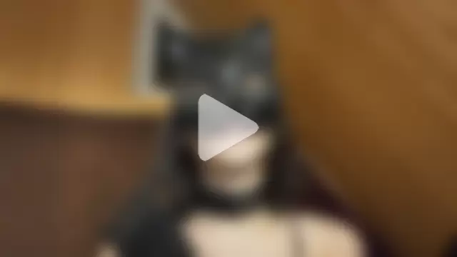 NovaKitty888 photo 13