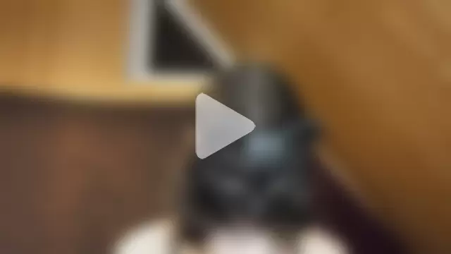 NovaKitty888 photo 8