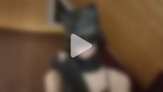 NovaKitty888 photo 3