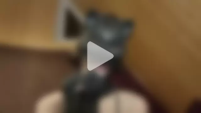 NovaKitty888 photo 2