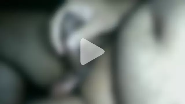 NuttyProfesir photo 6