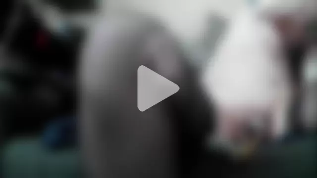 Nylonschlampe510 photo 9